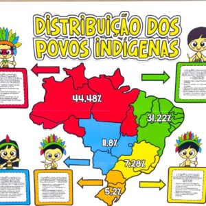 Distribuição dos povos indígenas