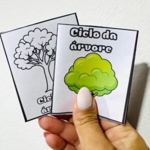 Livrinho ciclo da árvore